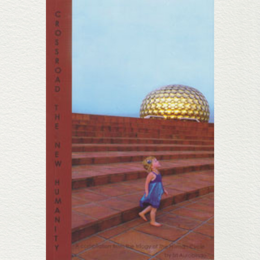 online-shopping-crossroad-humanlity-from-aurastore-pondicherry