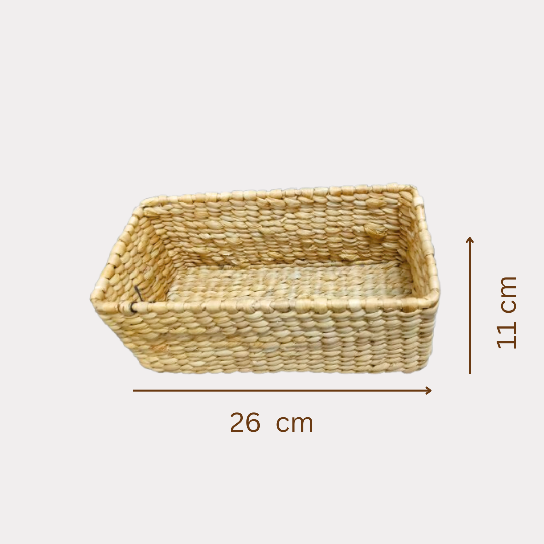 buy-now-water-hyacinth-trays-at-aura-experience-store-pondicherry