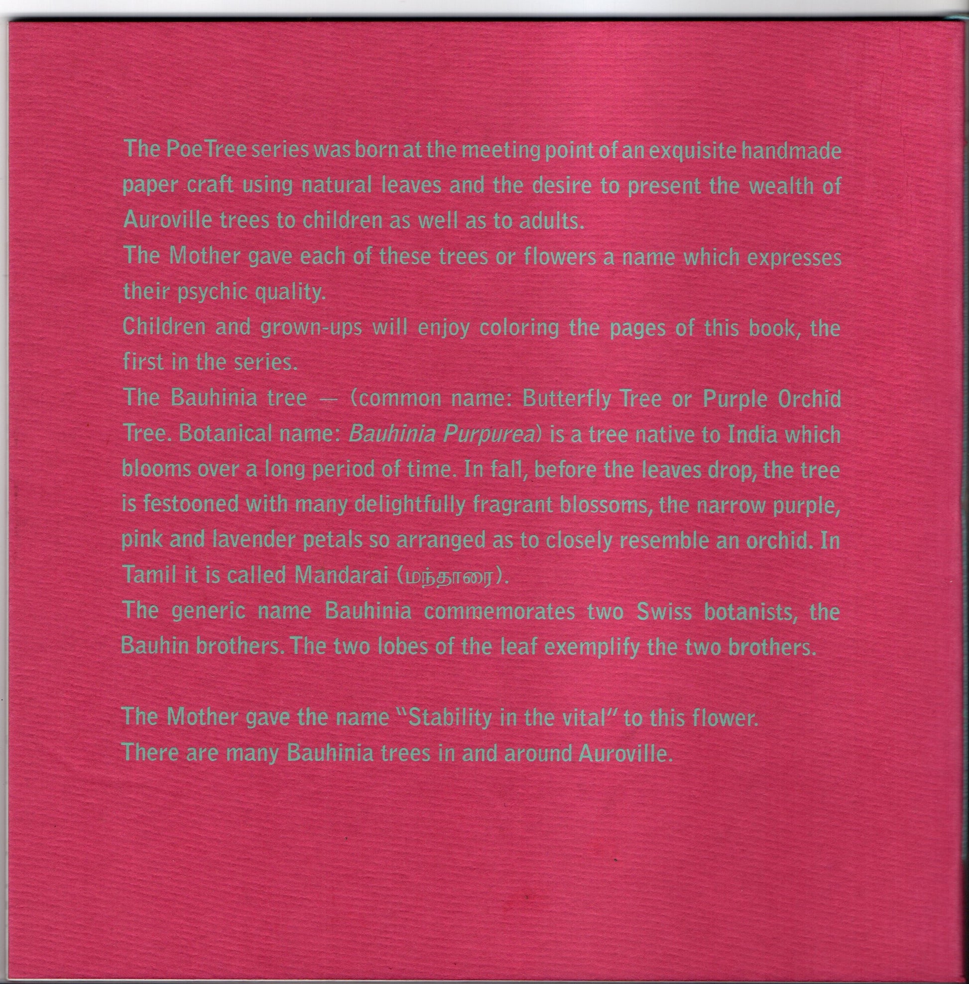 Bauhinia - A Tree Who Wanted To Be An Orchid - book back covre