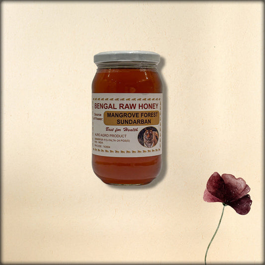 mangrow forest sunderban