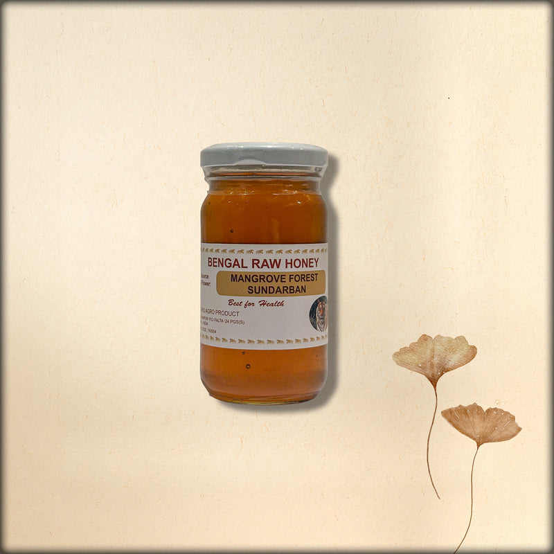 mangrow forest sunderban