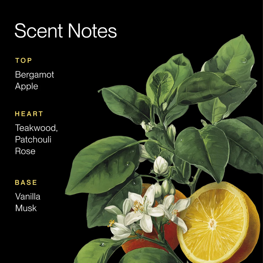Dense - Eau de Parfum for Men | Oriental Woody, Musky