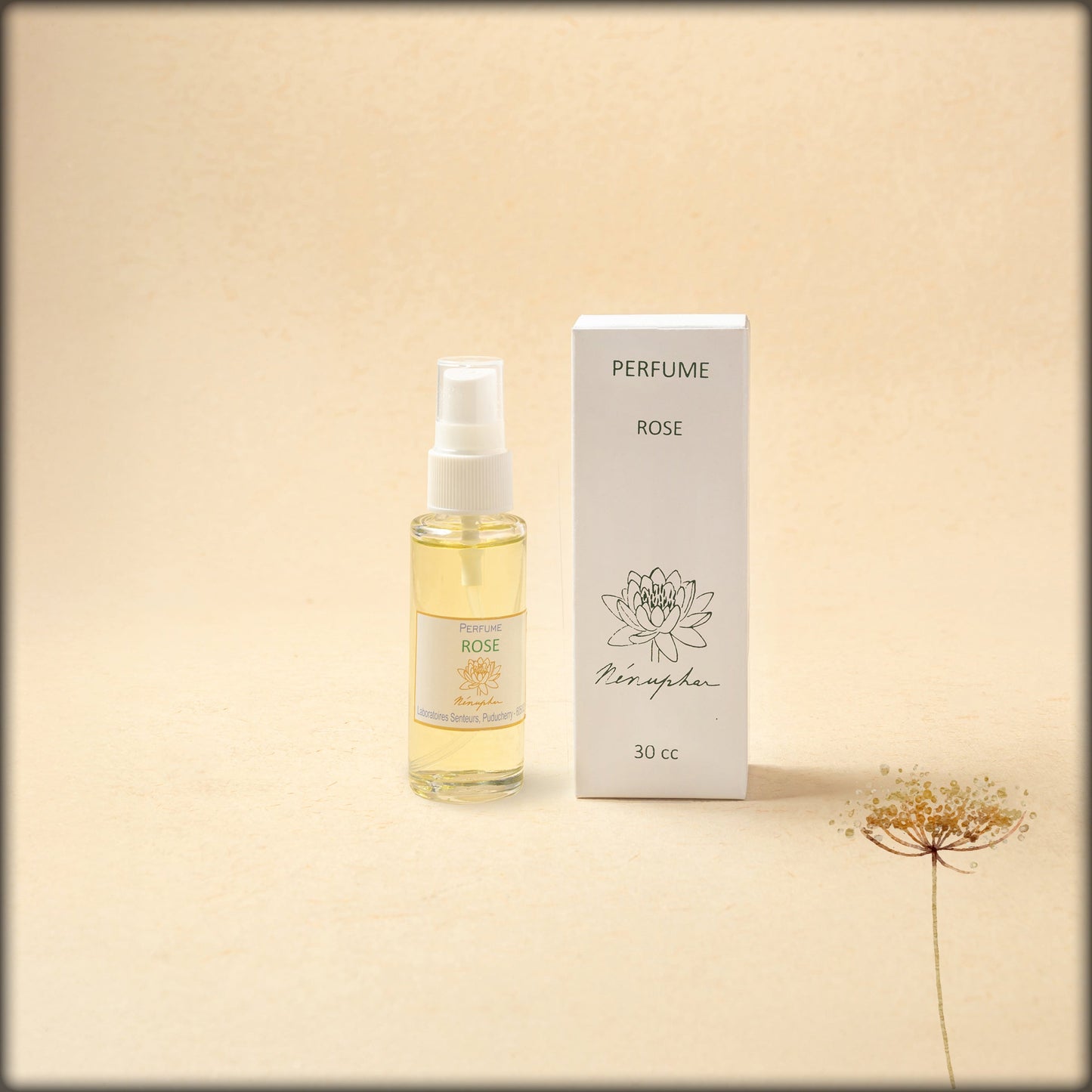 aura perfume rose