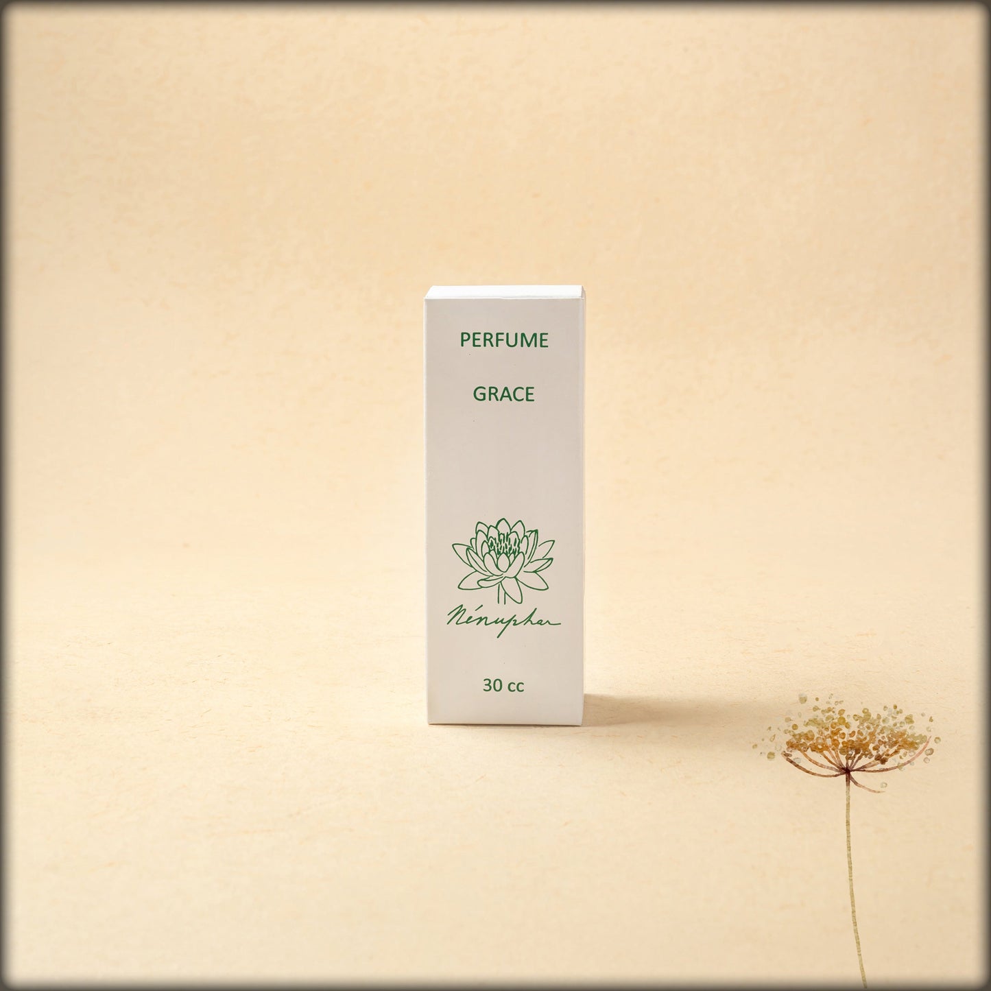 aura perfume grace