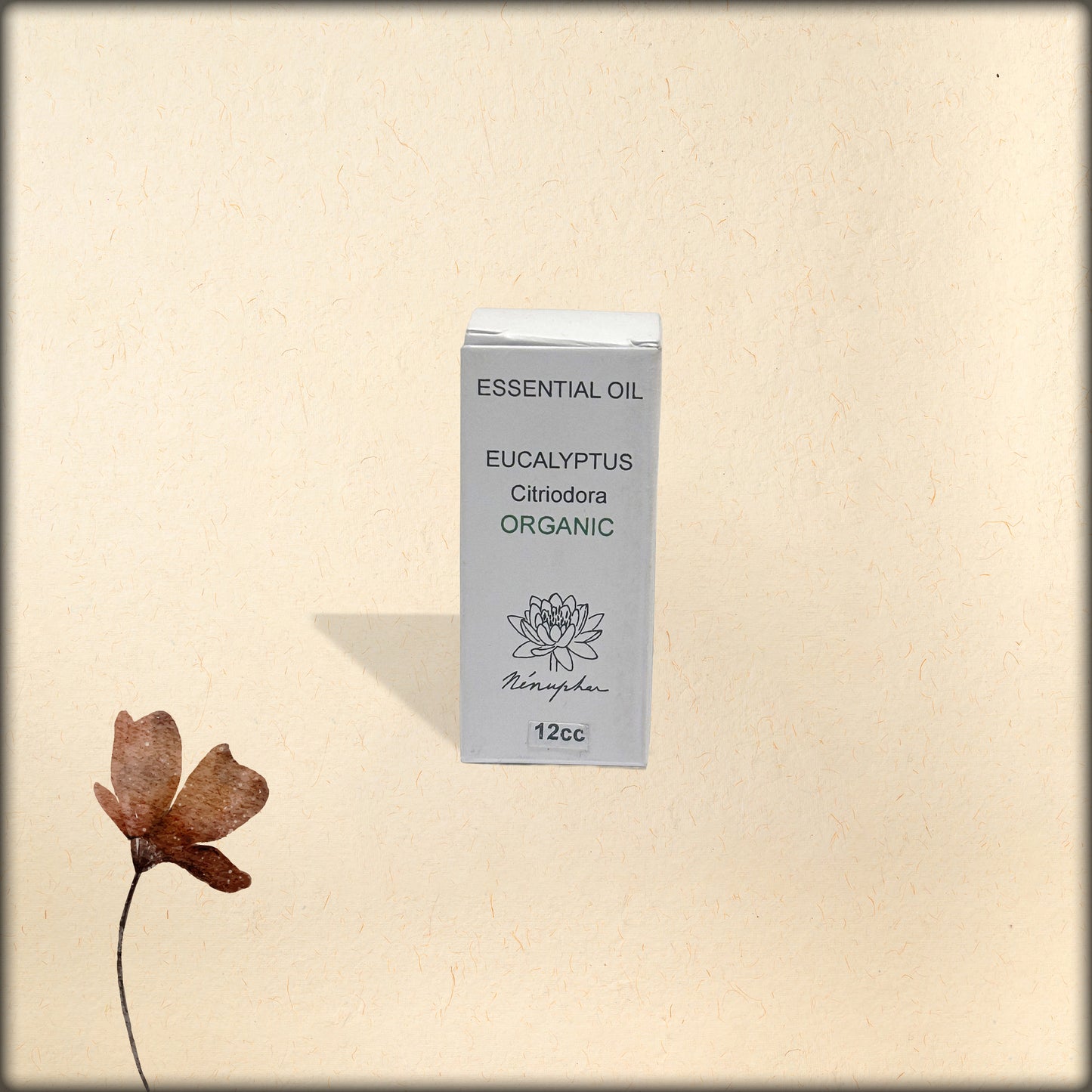eucalyptus citriodora organic aromatherapy essential oil -12cc