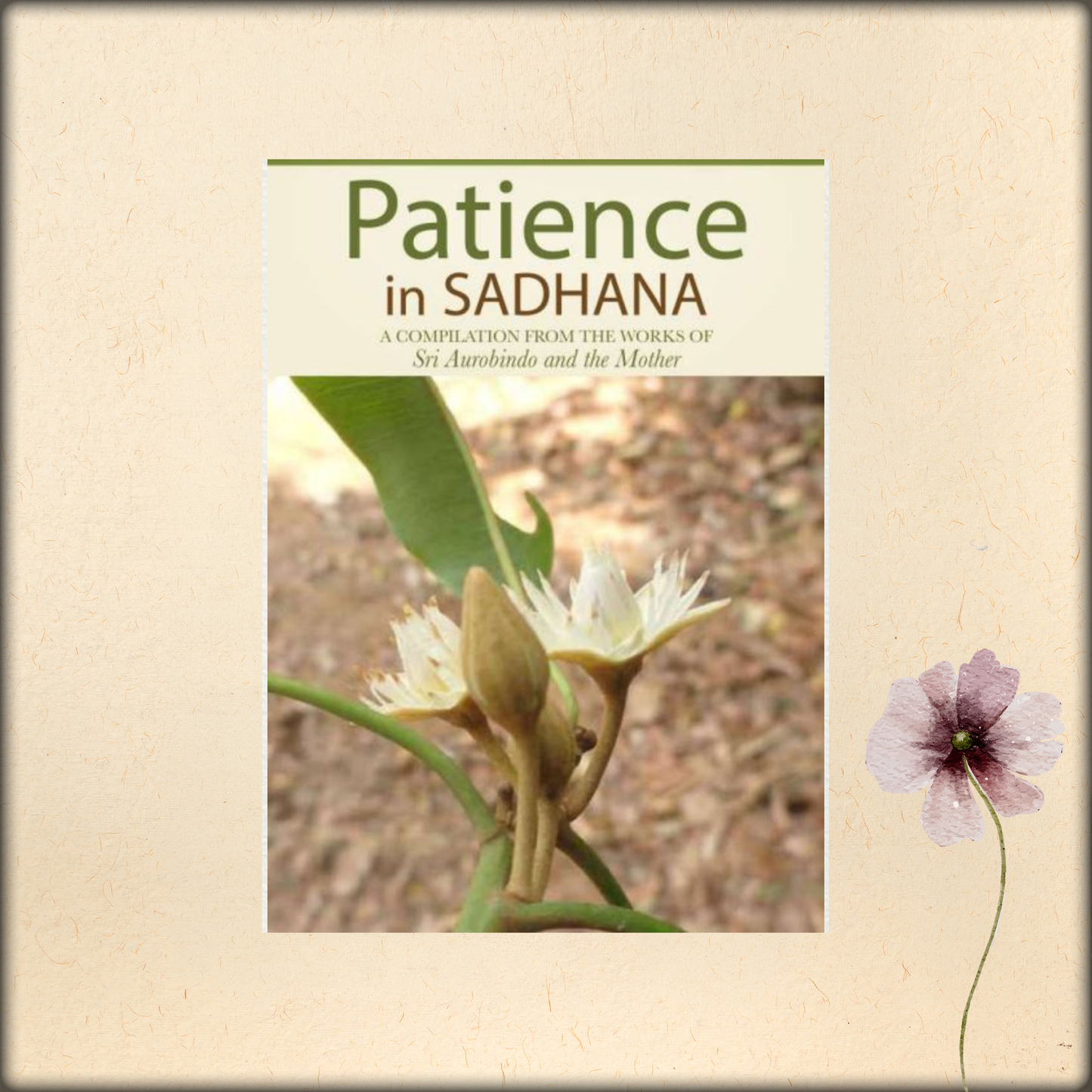 patience in sadhana - a compilation from the works of sri aurobindo and the mother