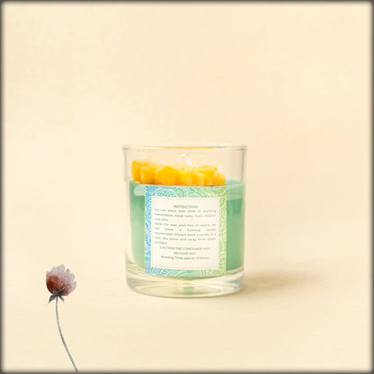 the divine grace lemongrass pure soy wax candle