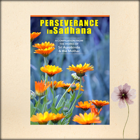 perseverance in sadhana