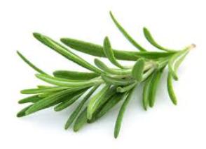 Rosemary Pure Essential Oil