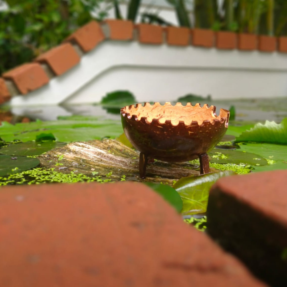 online-shopping-beautiful-coconut-shell-soap-holder-which-is-perfect-to-include-in-your-decor-in-aura-experience-store-pondicherry