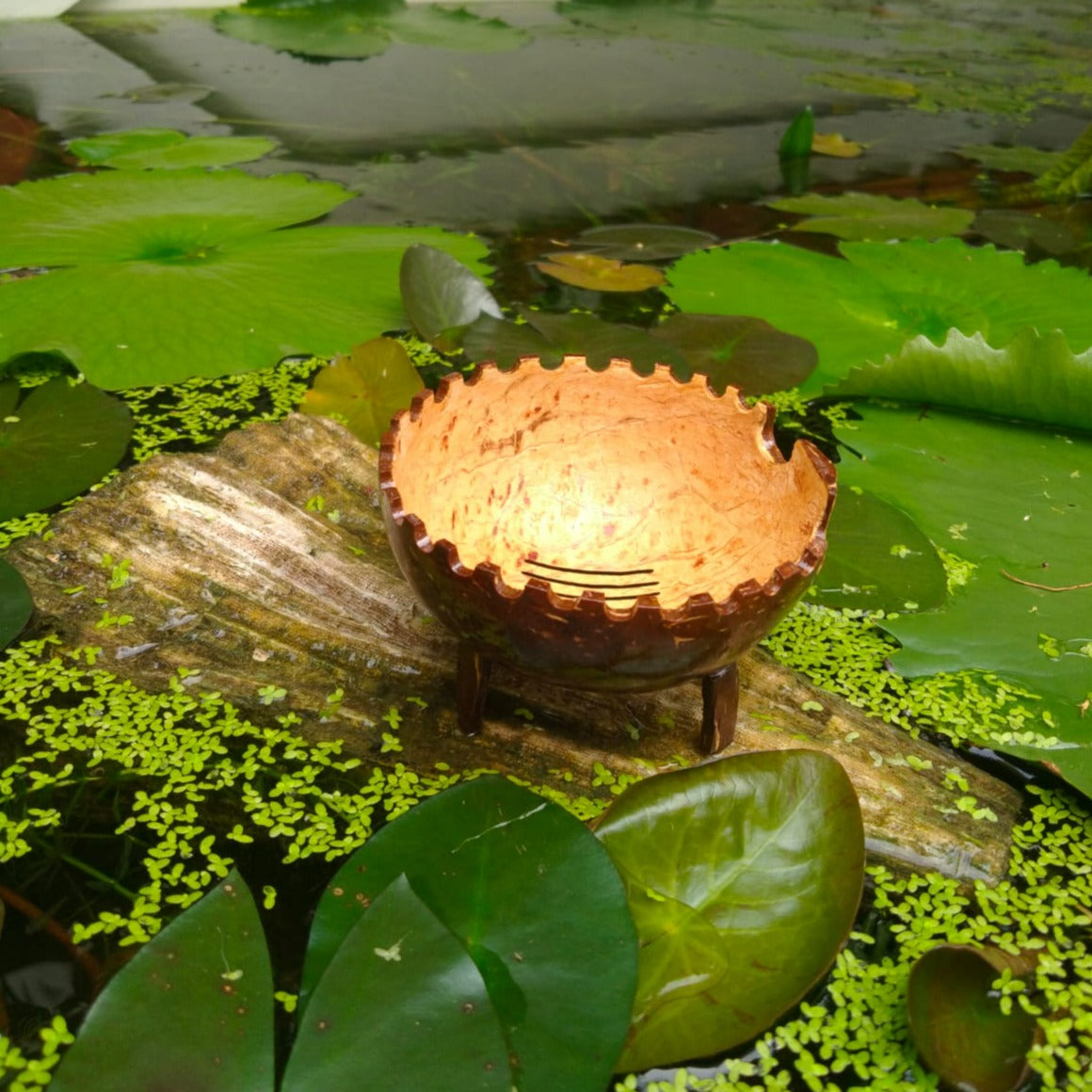 online-shopping-beautiful-coconut-shell-soap-holder-which-is-perfect-to-include-in-your-decor-in-aura-experience-store-pondicherry