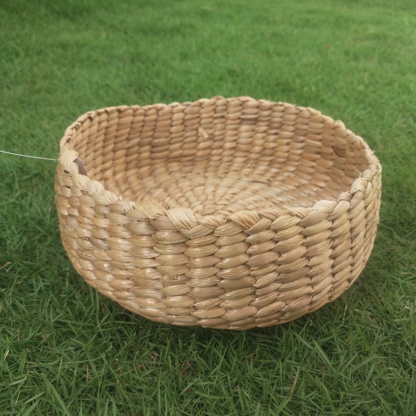 Water Hyacinth Tray