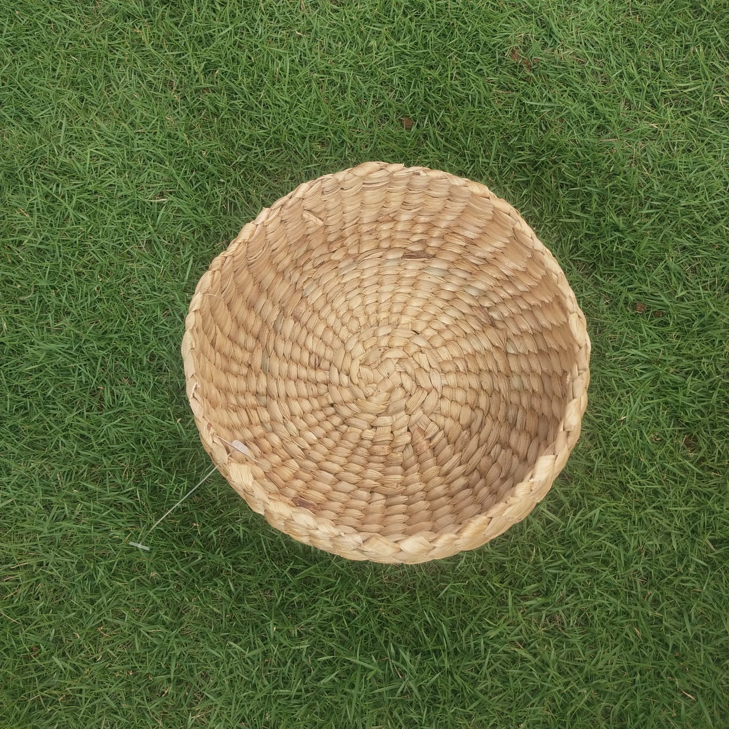 Water Hyacinth Tray