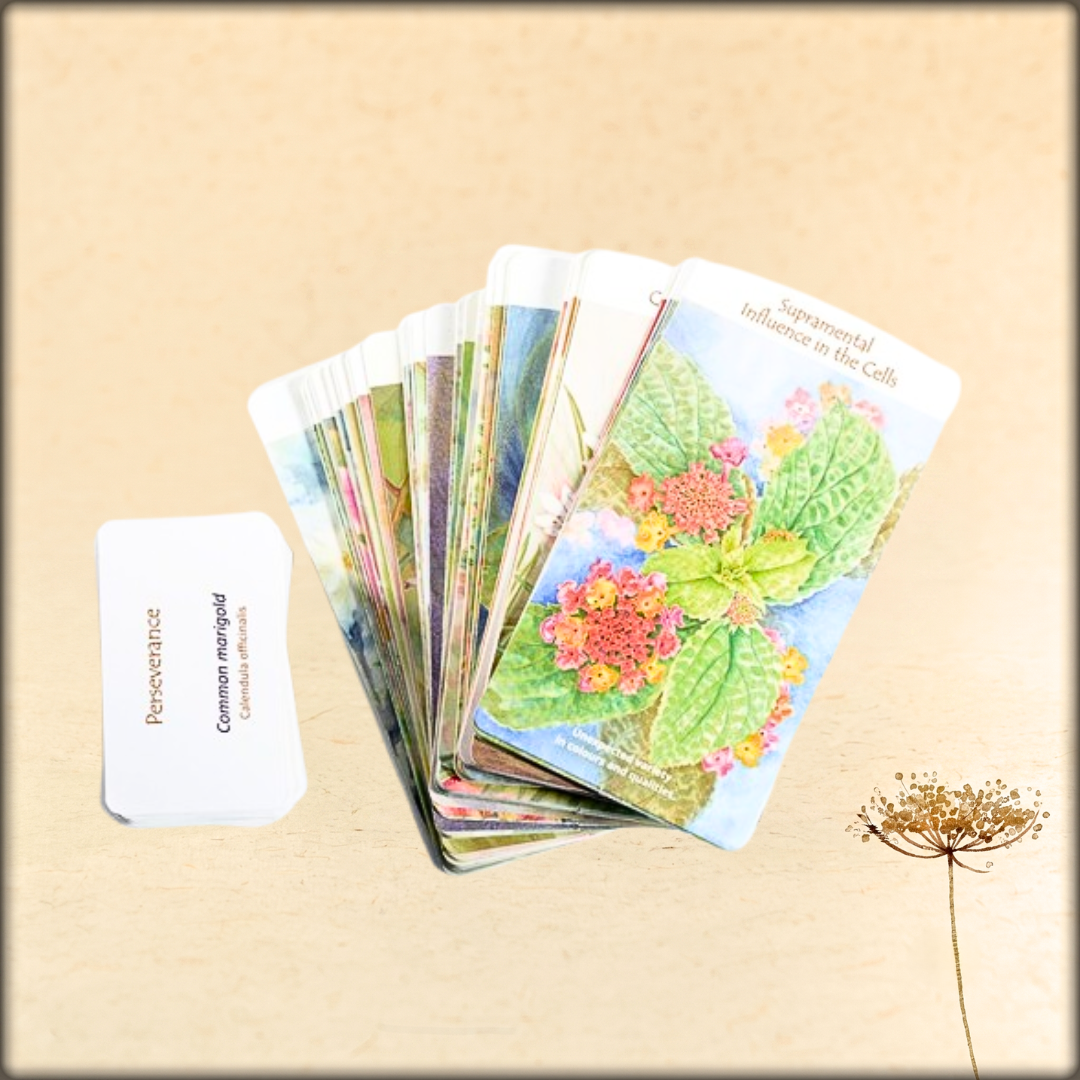 BloomO! Game Inspired By The Mother's Spiritual Significance Of Flowers