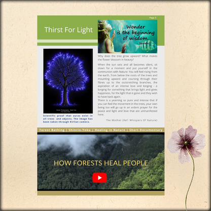 whispers of wonder - e-magazine educational - edition 10