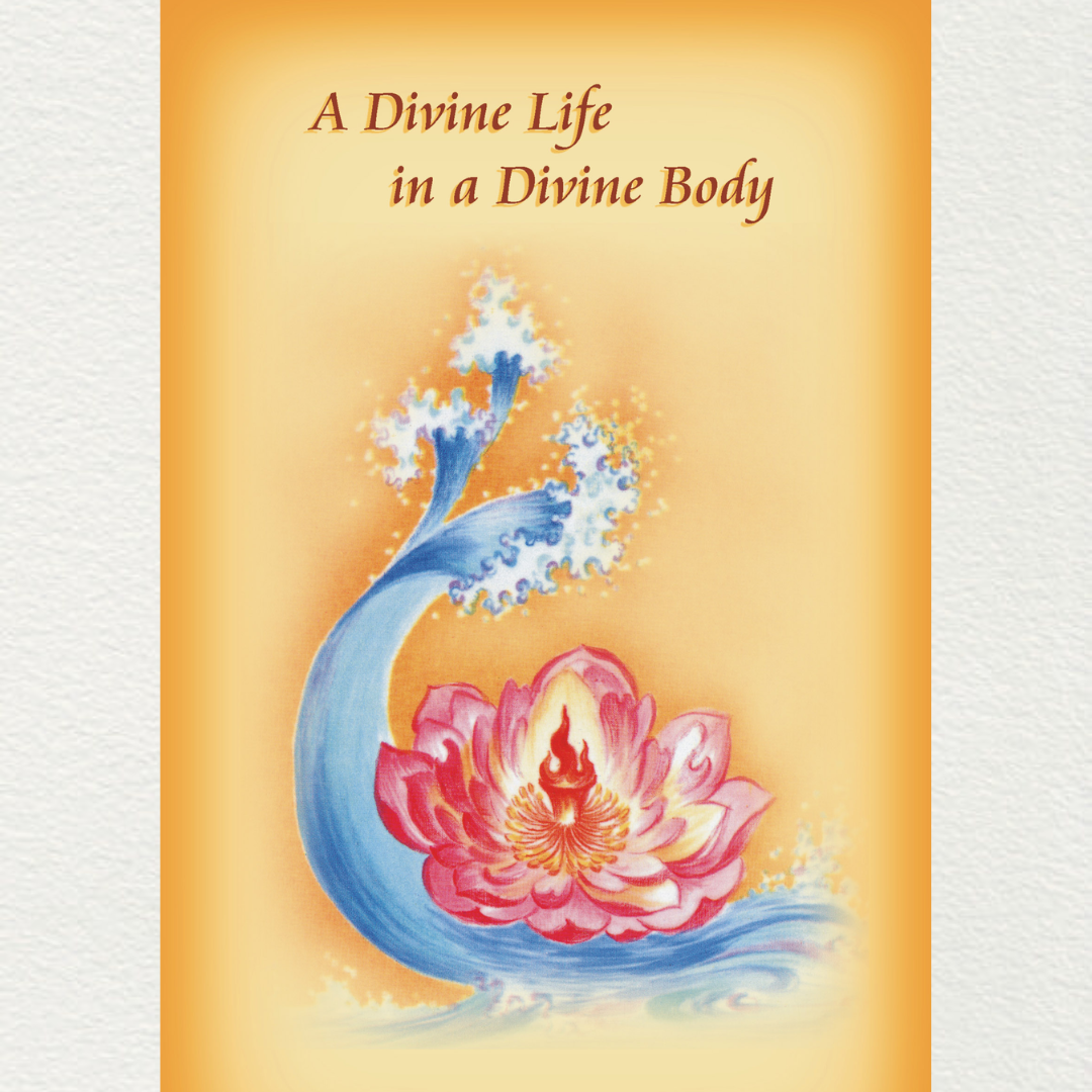 online-shopping-a-divine-life-in-a-divine-body-by-navajata-at-auraexperience-store-pondicherry