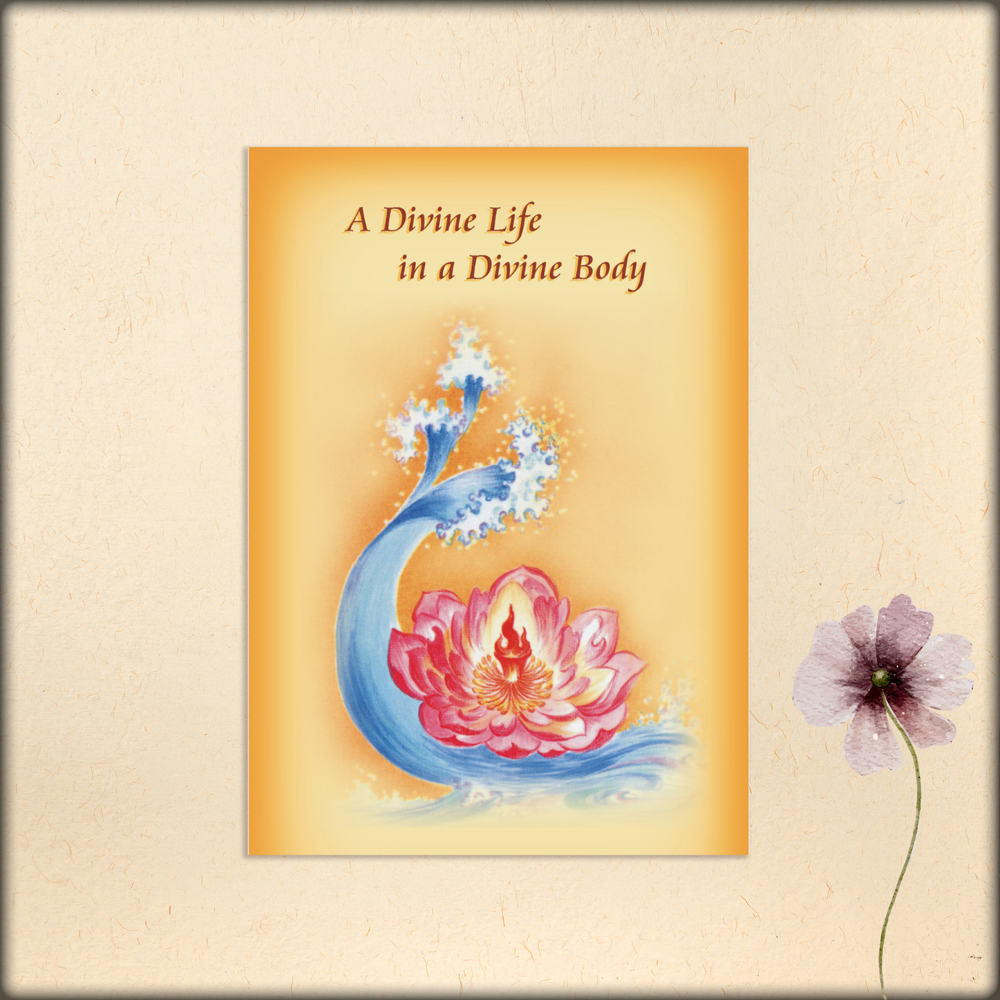a divine life in a divine body - ebook