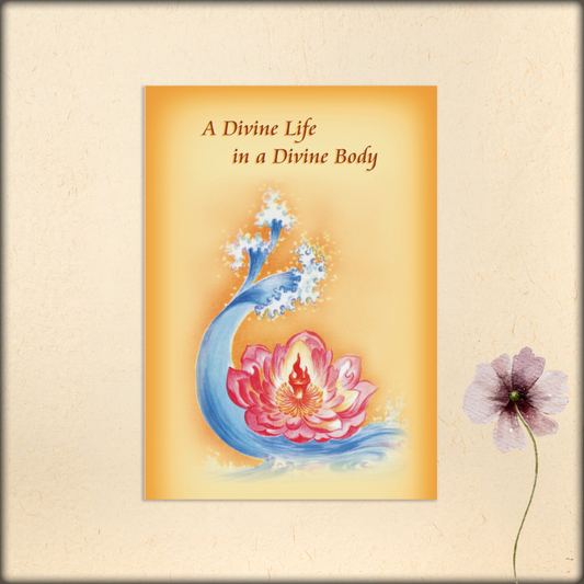 a divine life in a divine body - ebook
