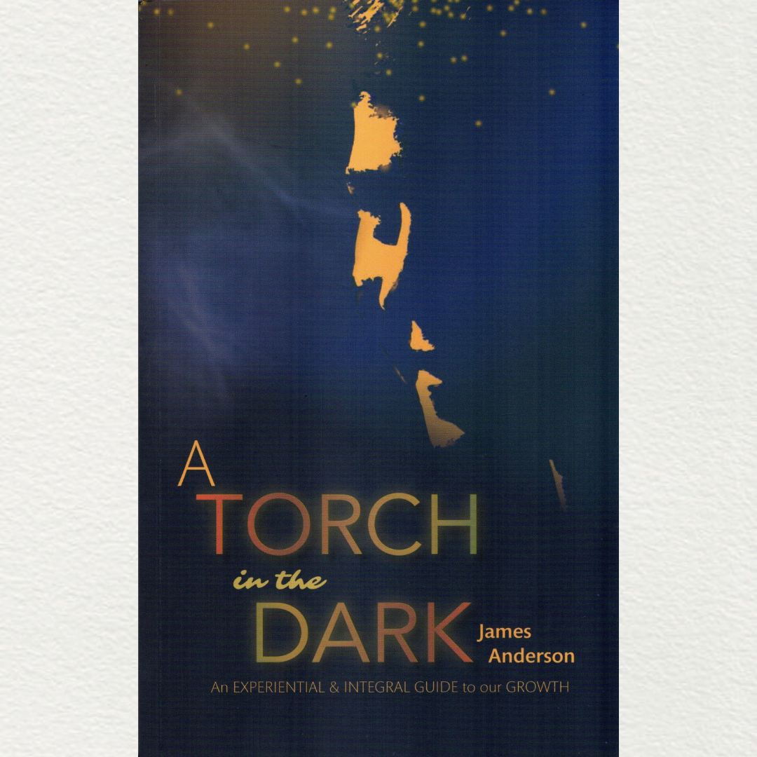 a torch in the dark by james anderson book available in aura bookstore puducherry