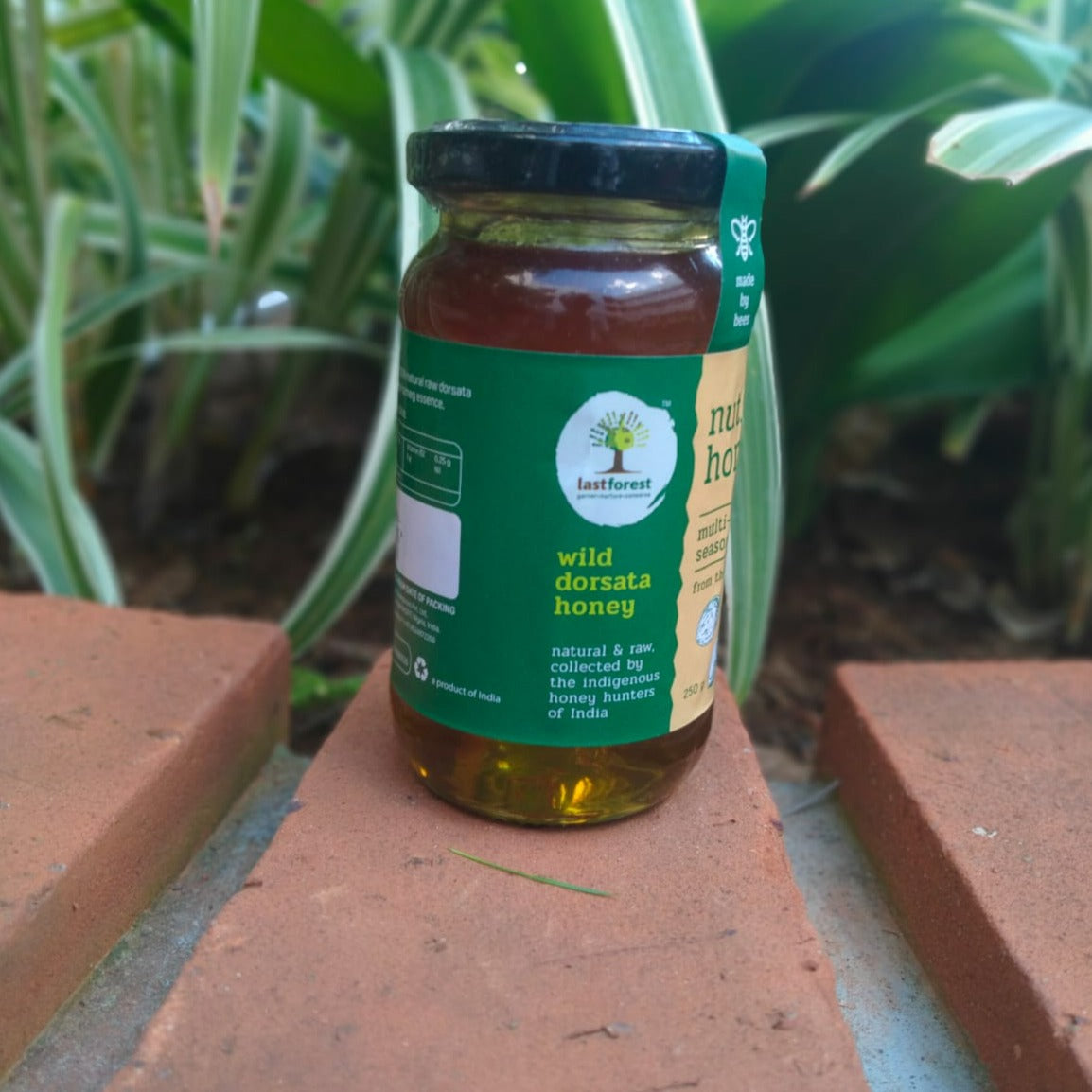 nutmeg-from-wild-dosata-honey-in-aura-experience-store-pondicherry