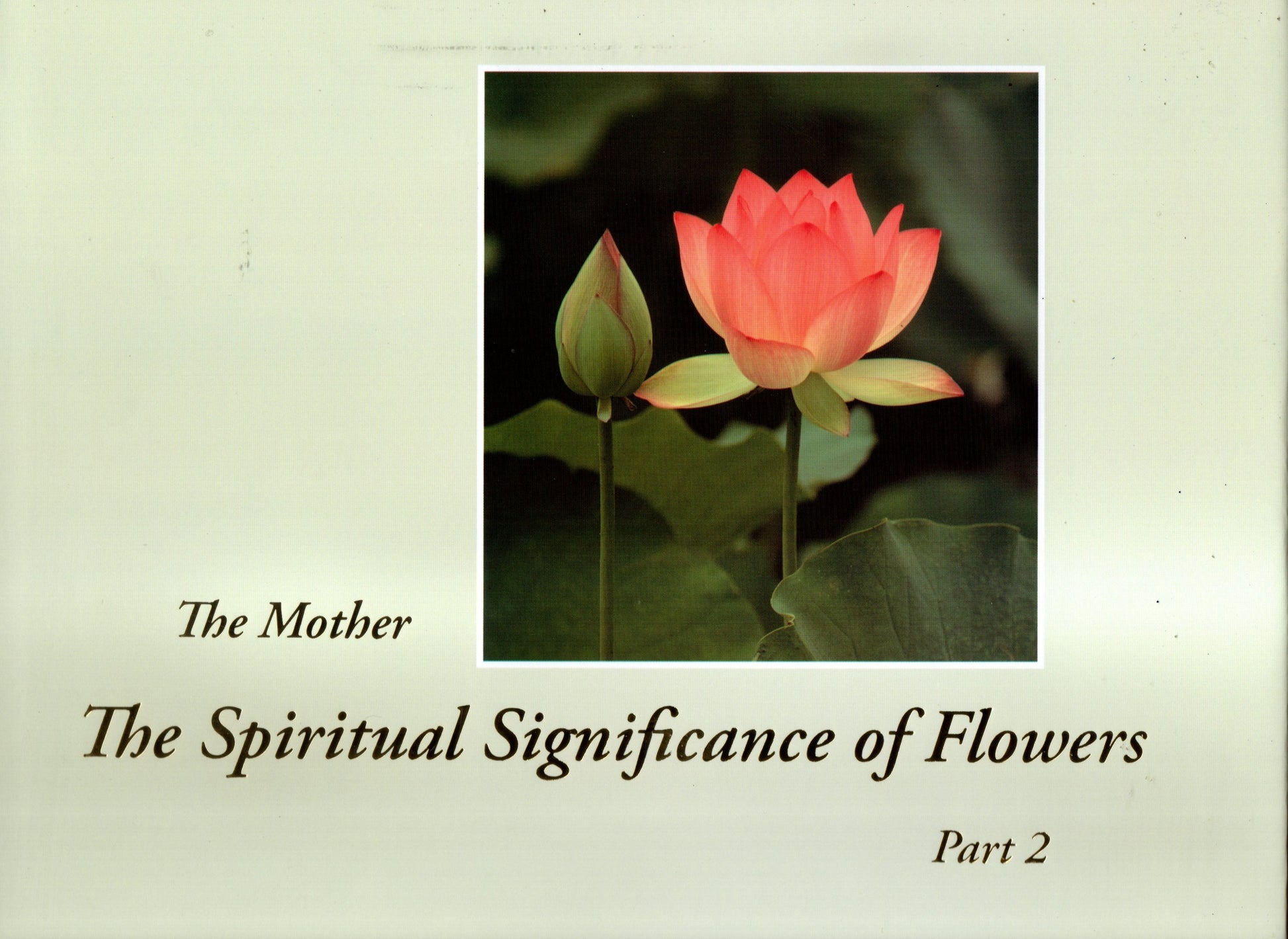 the spiritual significance of flowers part 2 by the mother sri aurobindo ashram pondicherry marketed by aura store puducherry