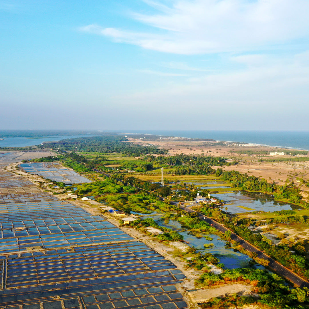 Bioregion Tour of Pondicherry and Auroville - Exploring other-side of the region