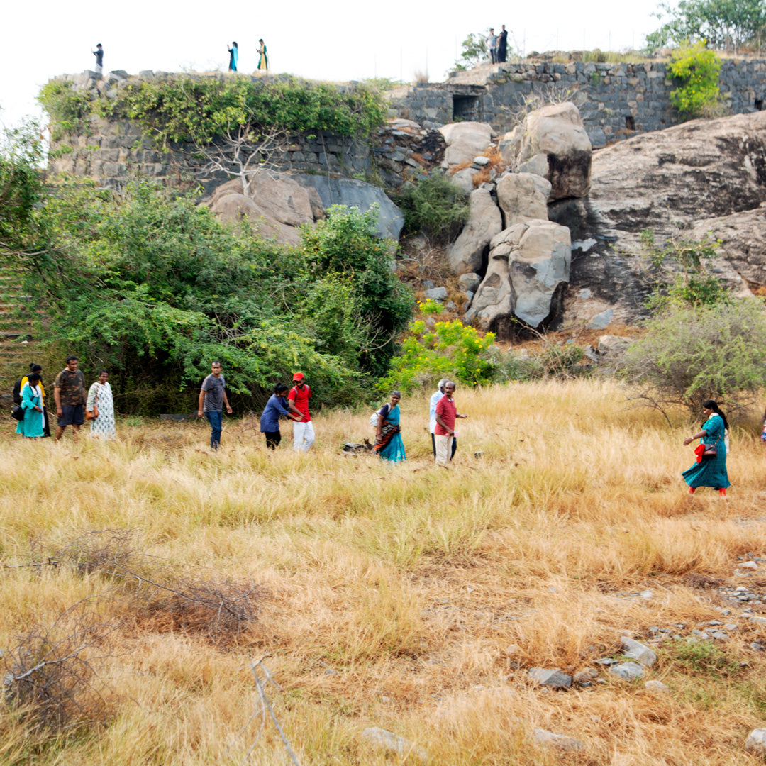 Bioregion Tour of Pondicherry and Auroville - Exploring other-side of the region