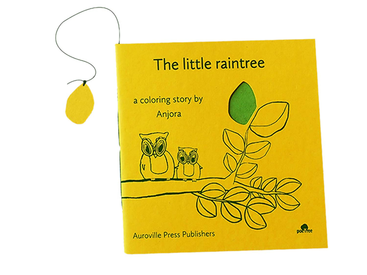 product photo little raintree