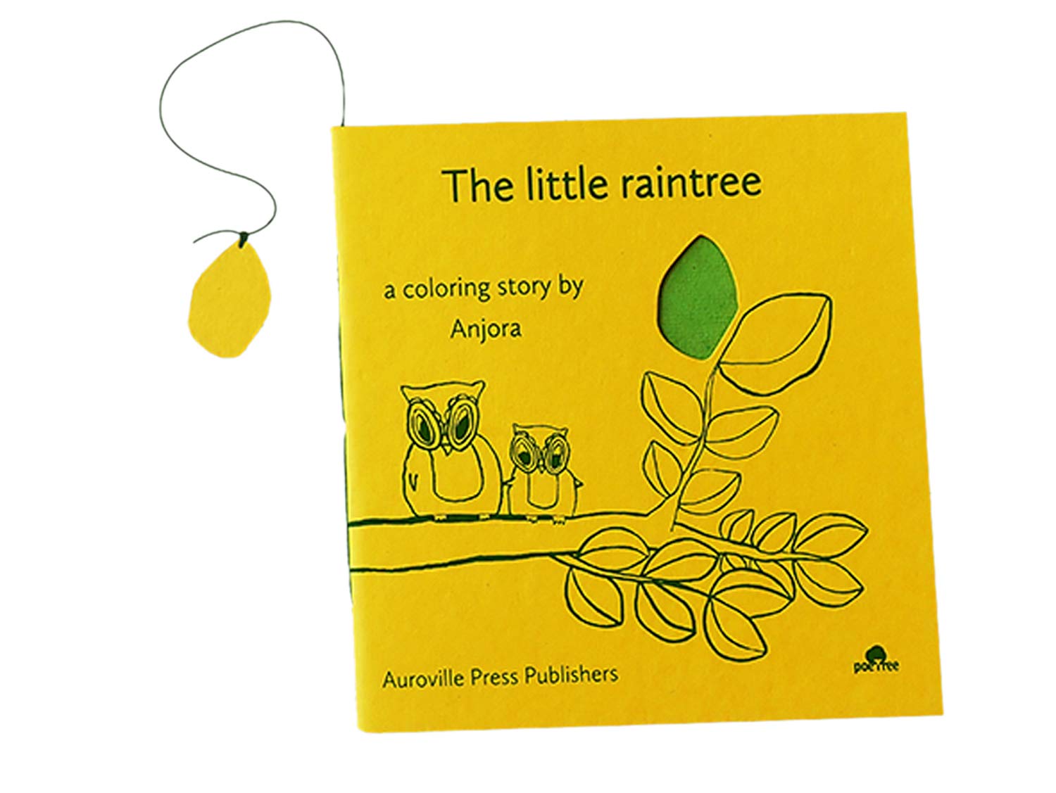 product photo little raintree