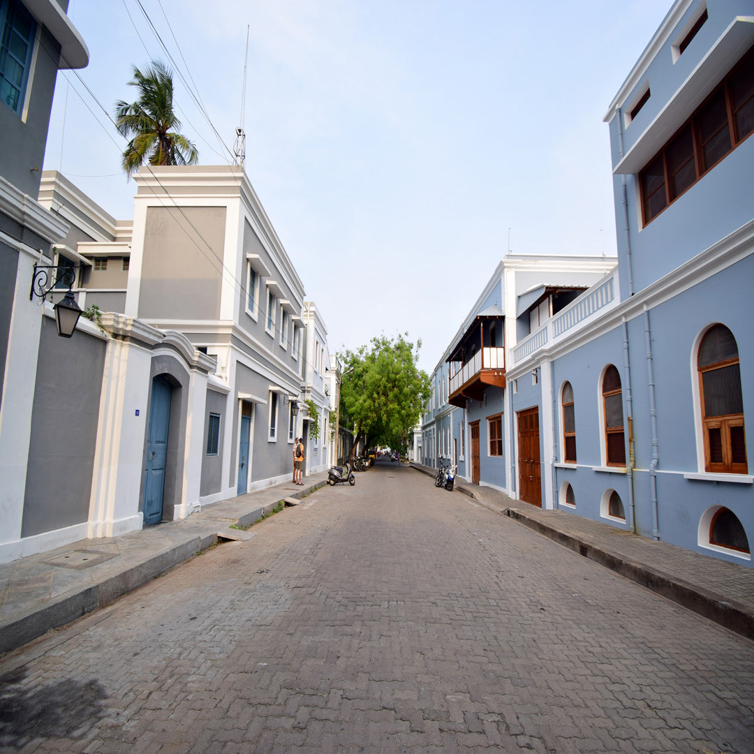 Sri Aurobindo Ashram and its departments