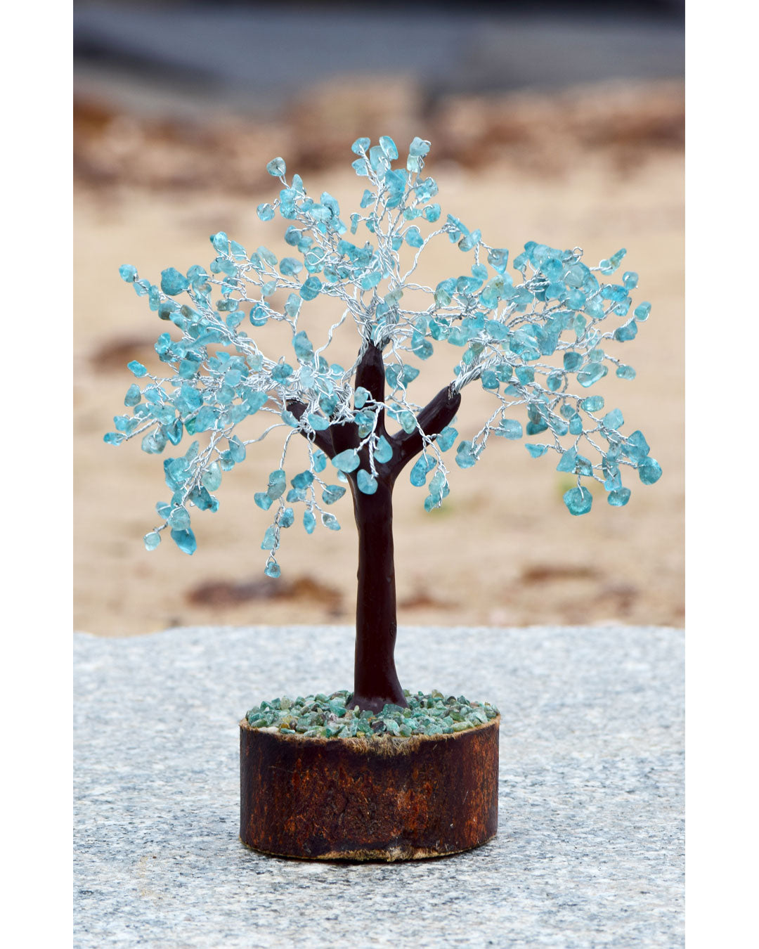 apatite-crystal-gemstone-tree-small-crystal-tree-wooden-stand-best-to-gift-family-and-friends-in-aura-store-pondicherry