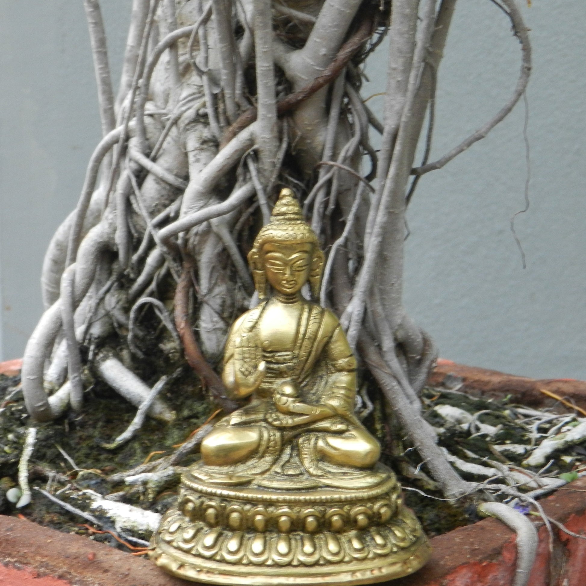 online-shopping-buddha-statue-will-enhance-the-garden-for-your-peace-in-aura-store-pondicherry