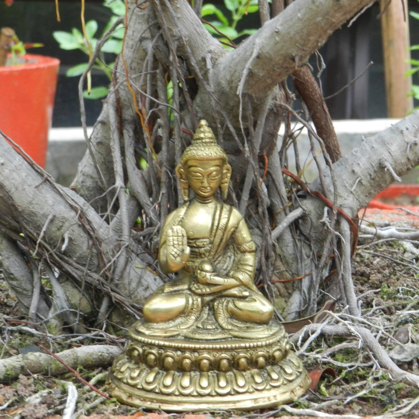  buddha-in-your-home-to-maintain-a-positive-and-harmonious-vibe-in-aura-store-pondicherry