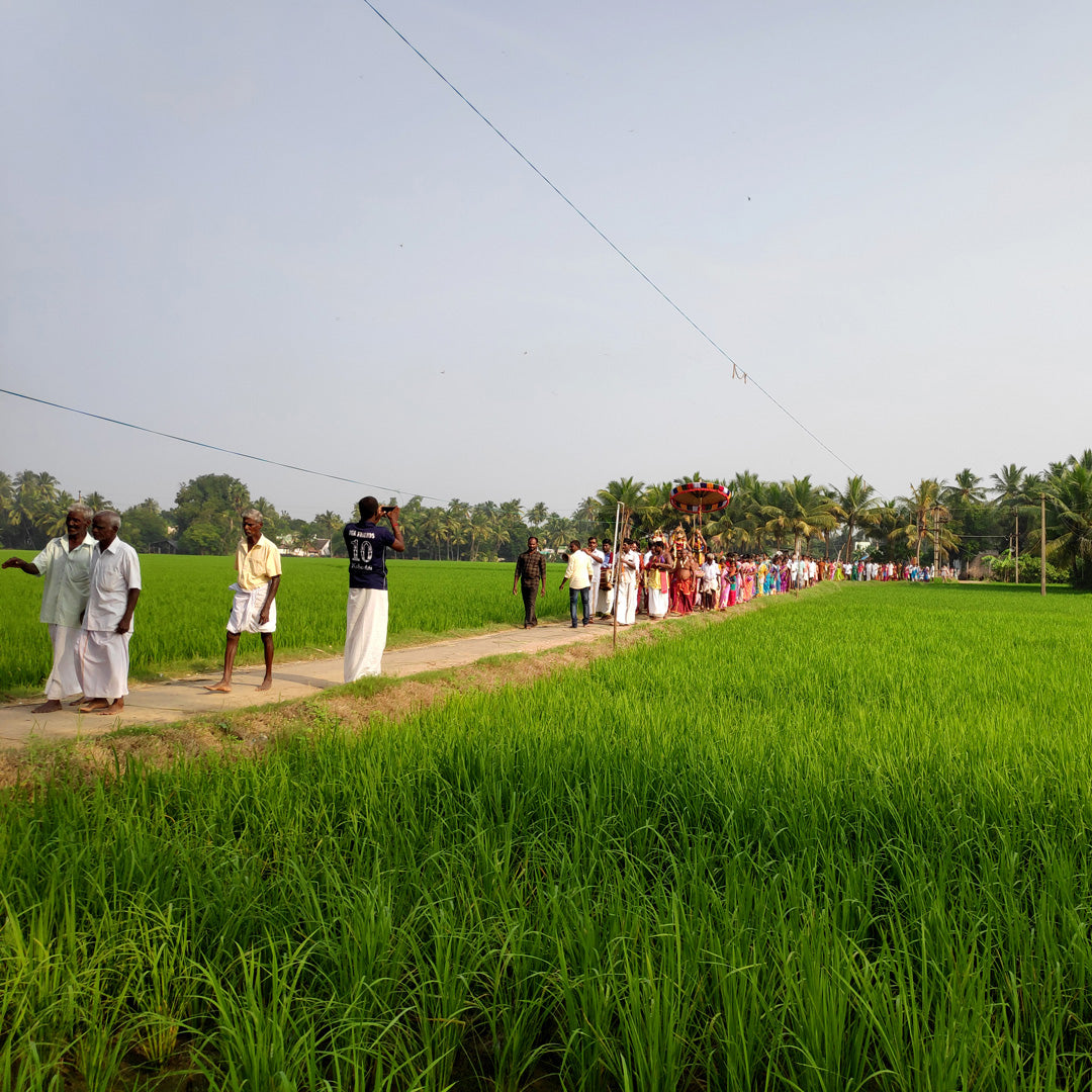 Exotic Pondicherry (Along with Life of Pi Location)