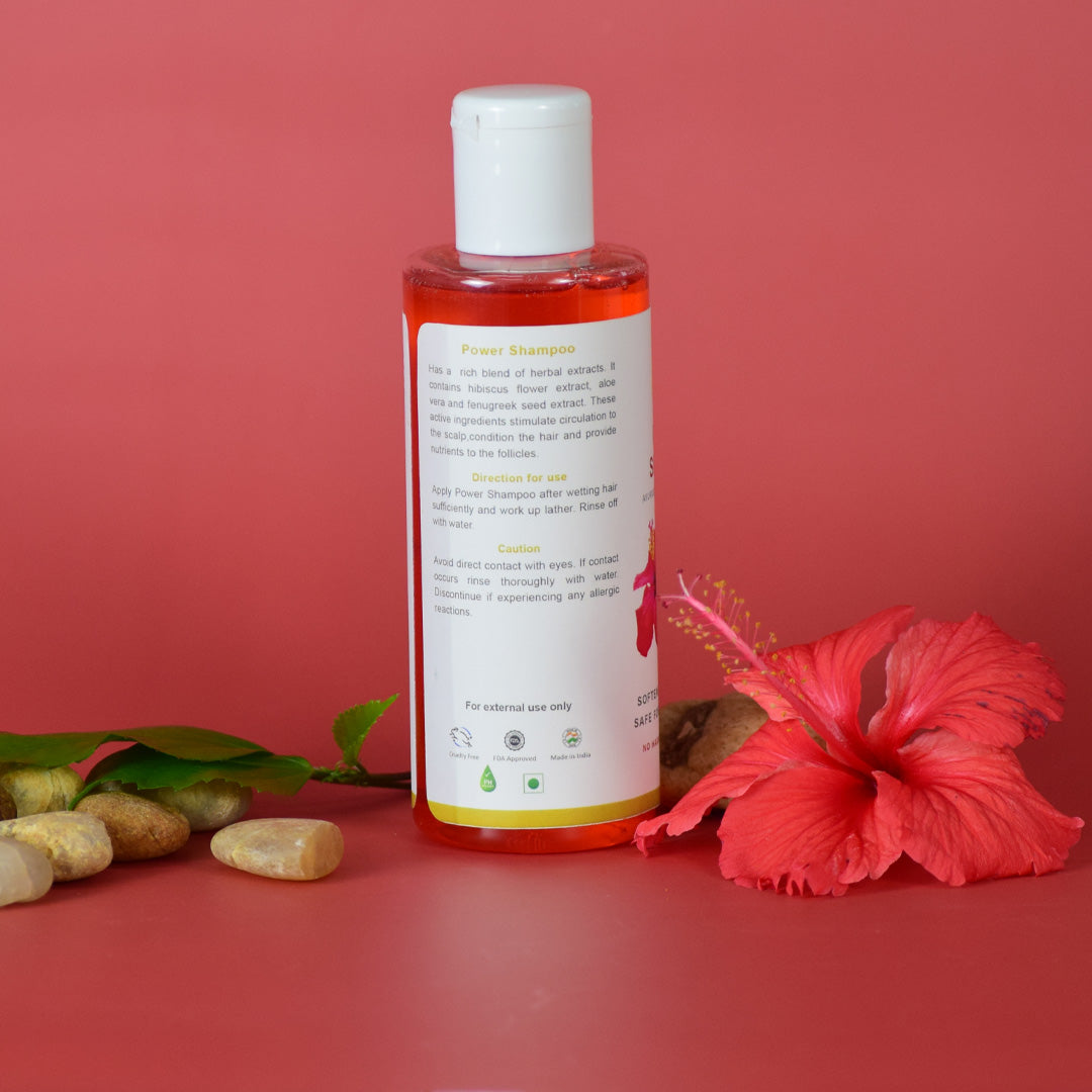 Ayurvedic Hibiscus Power Shampoo